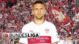 Vedad Ibisevic - Top 5 Goals