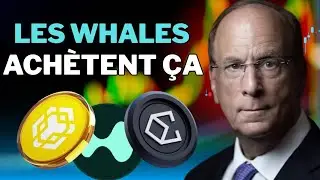 🚨 5 Crypto X100 &Agrave; Avoir Pour le Bull Run