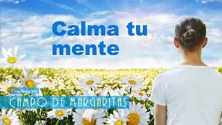 Una hora en: Campo de margaritas (música relajante para dormir, meditar y concentrarse)
