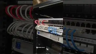 Network Cable Installation Project with the Running Cables Team! #cable #cisco #edit #cabling