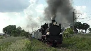 Polnische Schmalspurromantik | Px48-1756 zwischen Środa und Zaniemyśl (HD)
