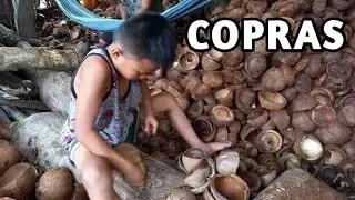 HOW TO MAKE COPRAS