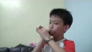 Super Mario on harmonica