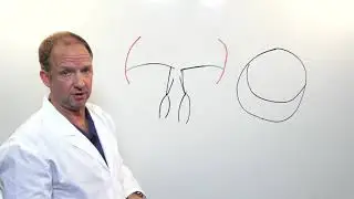 Mitral Valve Repair - Functional MR