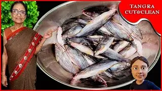 Seafood Cleaning any Fish with Confidence | Tangra Fish Cleaning Hacks | Easy Fish Prep