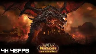 EMUCOACH gold EP:2 shammy time