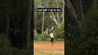 1 run needed in last ball #cricket #shorts # viral #last ball