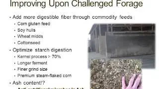 Expert Webinar on High Quality Fermented Forage