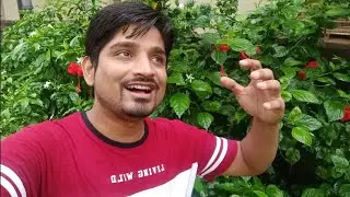 Jr.JKV चे आगमन झाले !!!