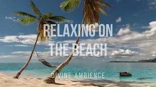 Isolated Beach Ambience on an Island with OCEAN View For Relaxation