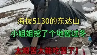 美女太能吃苦了，海拔5130的东达山。挖了个地窖过冬，太可怜 #生活服务热点中心 #西藏拉萨【杨美丽】