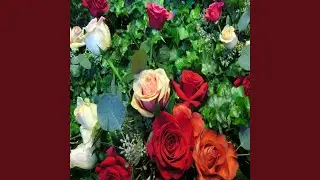 Ivory Roses
