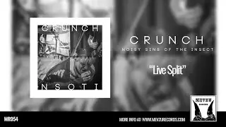 Crunch & Noisy Sins of the Insect - Live Split 2020 (Full Album)