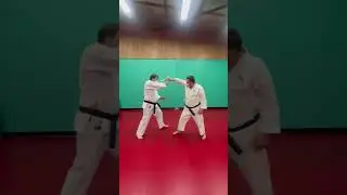 Torakan Karate &lsquo;Karate Essence&rsquo; Reality Check!  Variations of Knife Defence 11