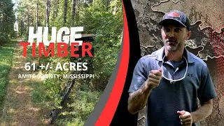 61+- Acres for Sale in Amite County, MS