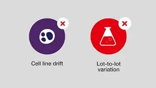 What Are Recombinant Antibodies? Improve Reproducibility with Thermo Fisher