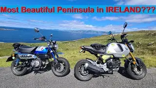 2022 Honda Grom VS Monkey