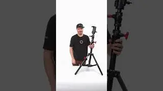 SHAPE LOW BOY DOUBLE RISER STAND BLACK/CHROME 6&rsquo;9&rsquo;&rsquo;