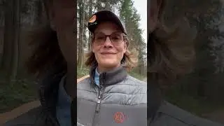 Sonntagsspaziergang mit Pferd #gassi #pferd #pferdeliebe