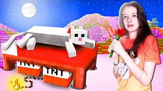 NEW CAT WORLD IN MINECRAFT!