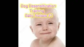 Dog Desensitization Training - Baby Noises