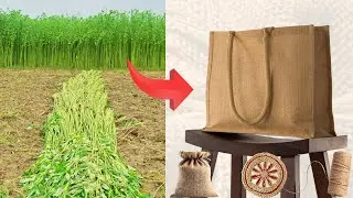 Amazing Process of Eco-Friendly Natural Jute Fabric Production