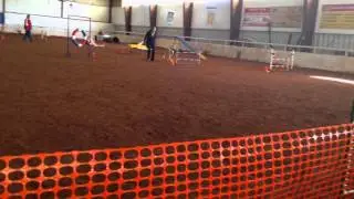 Shadow's Easter Run