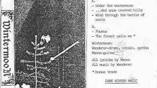Wintermoon  -  Our Once Proud Northern Land (1995/black metal/ambient/atmospheric/Finland)