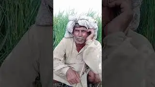 ڈھولے منڈی دیے