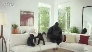 Gorilla glass 4