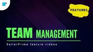 SellerApp Team Management - Dashboard Permission For Team Members