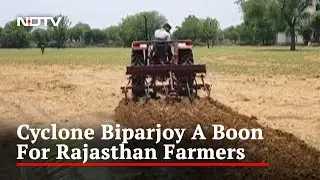 Cyclone Biparjoy Brings Relief For Farmers In Rajasthan