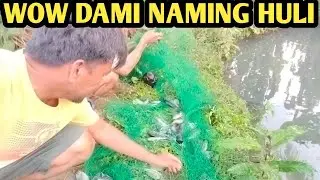 WOW DAMI NAMING HULI ISDA