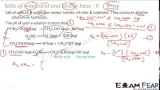 Chemistry Equilibrium part 38 Salt of weak acid & Strong base CBSE class 11 XI