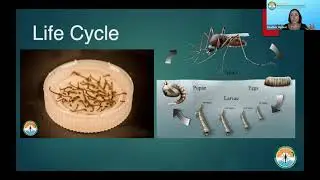 Innovators: Cube Talks Heather Hyland, OC Vector Control 
