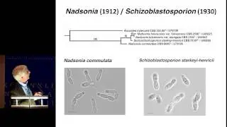 10 Clete Kurtzman  Saccharomycotina and Taphrinomycotina &ndash; Progress in Circumscription of Genera