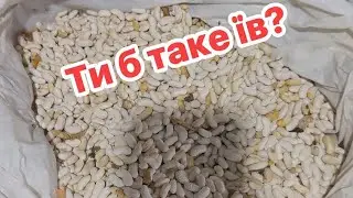 Ти б таке їв?