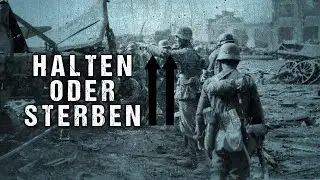 Halten oder Sterben - Die hessisch-th&uuml;ringische 129. Infanteriedivision [Buchreview #15]