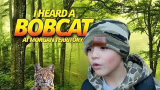I Heard A Bobcat at Morgan Territory | Austin Ca$h