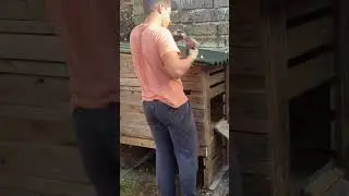 Come COSTRUISCO🪵un POLLAIO🐓GRATIS💸 #farming #garden #pollaio #uova #galline