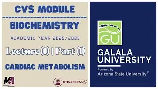 GU Medicine | CVS module | Biochemistry | Lecture (1) | Part (1) | Cardiac metabolism