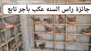 (اللهم صل 🧿 على محمد وال 🧿 محمد)اخوتي أن شاءالله عكب بأجر بس المتابع اول باول يحصل /07756400204