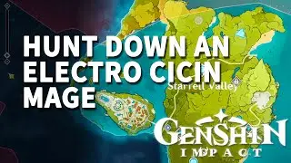 Hunt down an Electro Cicin Mage Genshin Impact