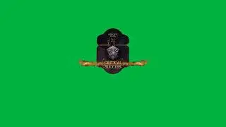 Baldur's Gate 3 Critical Success Green Screen