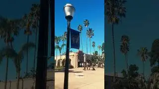Relaxing at Balboa Park 🌿✨ San Diego&rsquo;s Calm Side #trending #travel