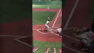 Summer 2018 Noca Select