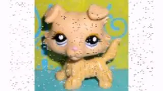 Lps trading plz read description
