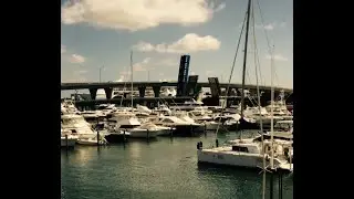 The Dock NFT/ enjoy, invest, meditate with the view of the Dock. Like/Share/Subscribe to UEDUNB 😀❤👍