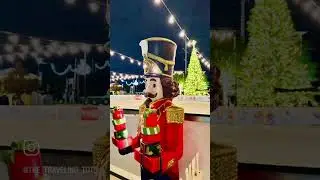 Christmas in Texas #christmas #travel #travelusa #india #indianvlogger
