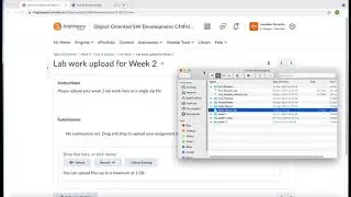 OOSD Submitting to Brightspace